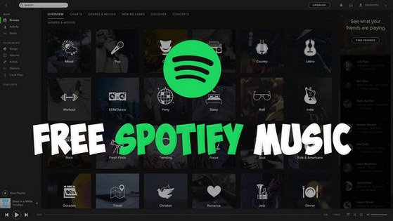 Download Song From Spotify To Mp3 Free
